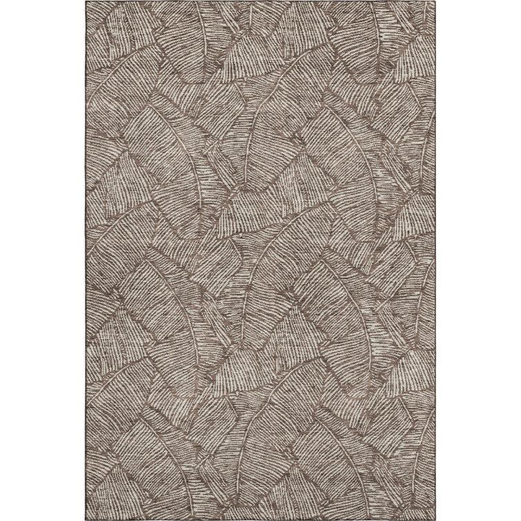 Premium Machine Washable Prisco Brown Rug