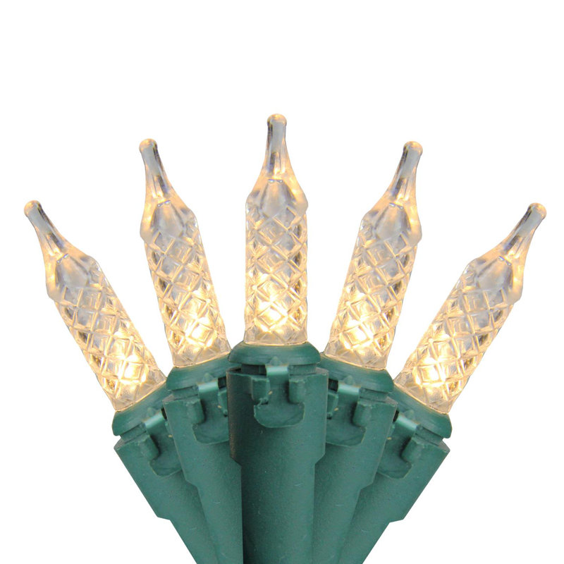 200 lumières DEL claires M5 - fil vert 62 pi