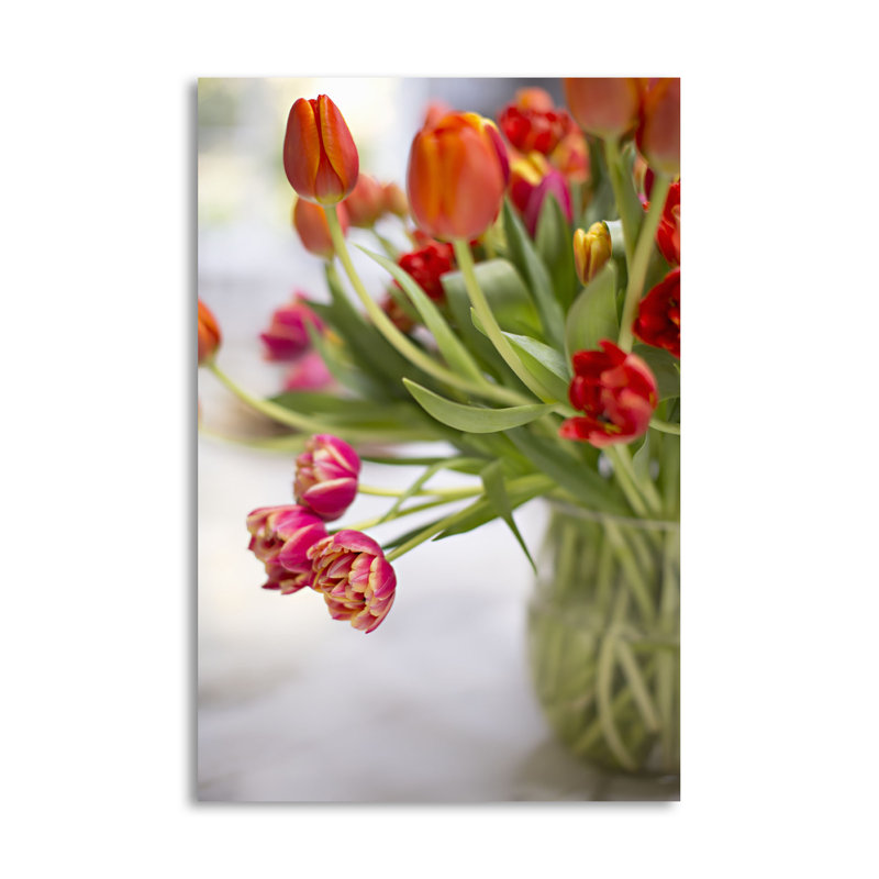 « fleuriing tulips », reproduction de photo, H 36 po x l 24 po x P 0,01 po, Papier