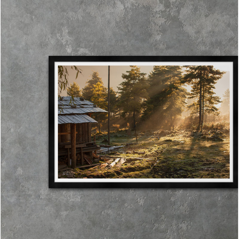Morning Frost Print