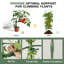 Paquet de 3, cage de soutien pour plante à treillis de jardin de 60 po avec taille réglable pour plantes