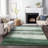Machine Washable Indoor/Outdoor Arline ACN2169 Striped Rug-1516904389