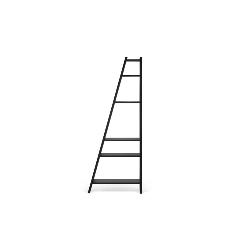 Delta Geometric Bookcase, Pure Black