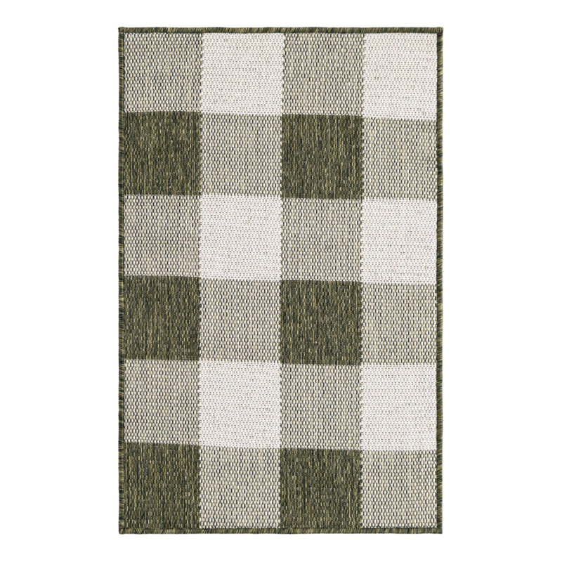 Tereon Checkered Machine Made Power Loom Polypropylene Plastic Indoor/Outdoor Area Rug in Green, Rectangle 2' x 3'1"
