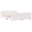 Solid Wood Bed Frame-105717280-105717286
