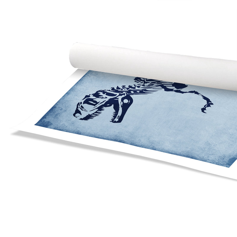 Adhésif décoratif voyage préhistorique 1 pi, H 28 po x l 40 po x P 1 po, Papier