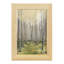Delicate Forest II - reproduction de cadre photo simple-90582802-90582812