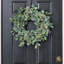 Couronne de porte d'entrée décorative en toutes saisons, composée de feuilles de fittonia verte et de graines d'eucalyptus - 66 cm (26 pouces)