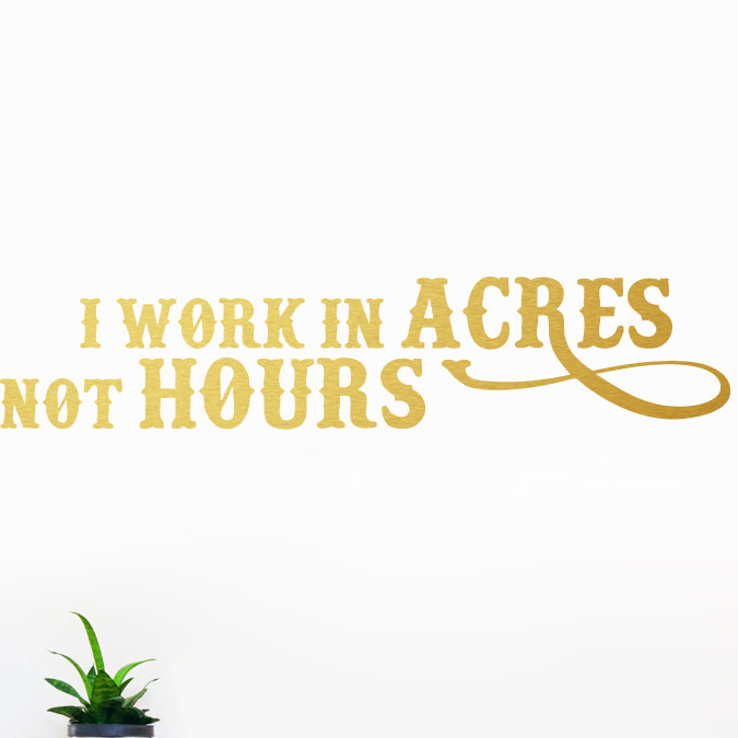 Non-Wall Damaging Wall Decal, Gold