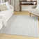 Nourison Care Free Light Grey Modern Indoor Rug