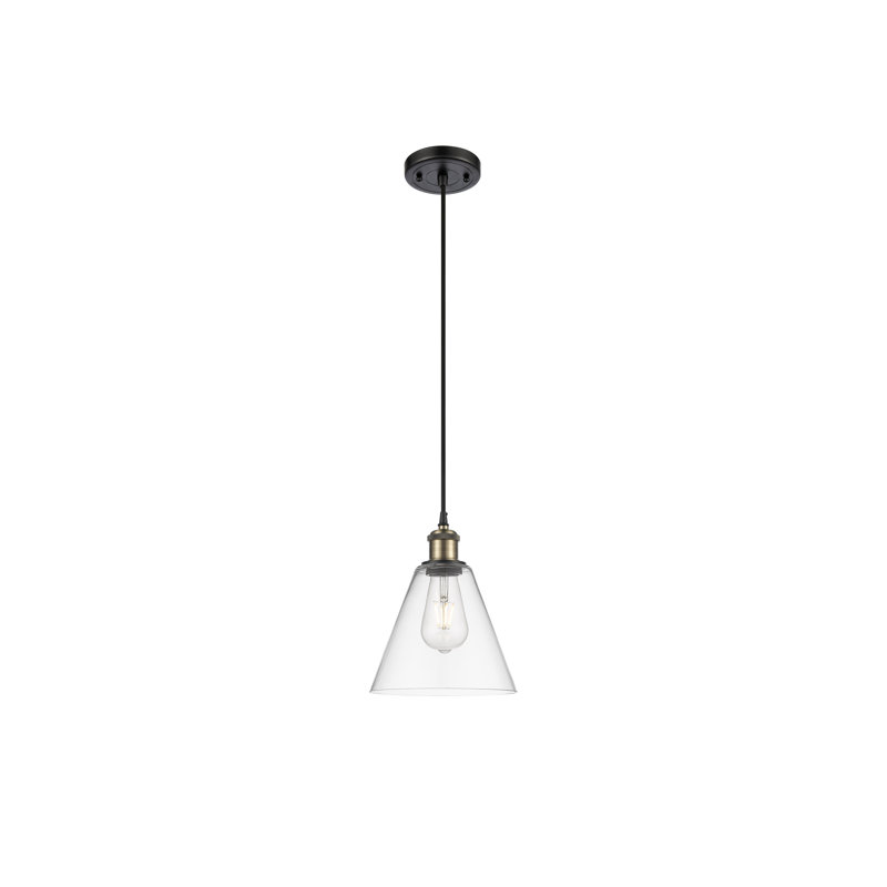 Halyn 1 - Light Single Pendant, 11.75" H x 8" W x 8" D, Clear, Black Antique Brass