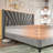 Bed Frame With 51"High Velvet Upholstered  Wingback Headboard, Platform Bed With Charging Station And Led Lights-655026587-655026586