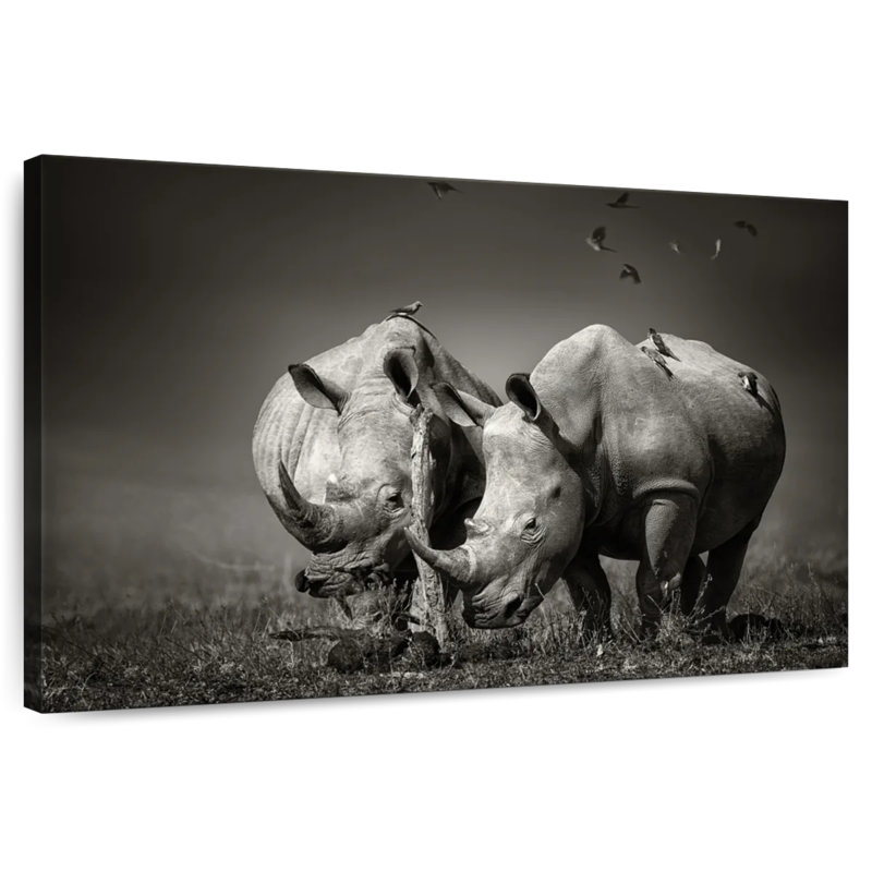Brampt Monochrome Rhinoceroses
