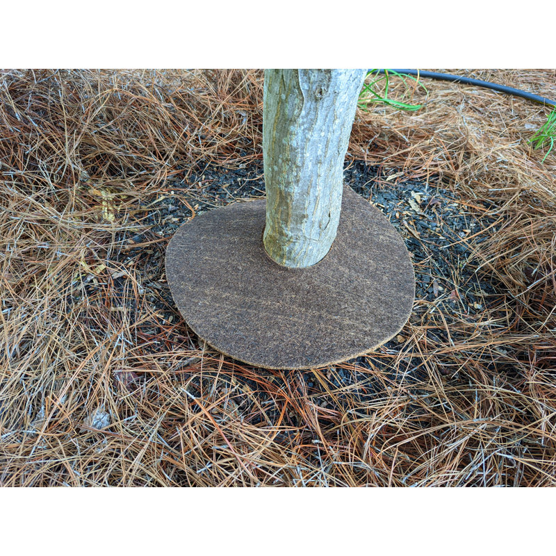 Accessoires de décoration de jardin, H 18 po x l 18 po