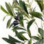 ARBRE D'OLIVE ARTIFIQUE 150CM 150CM-1917951745