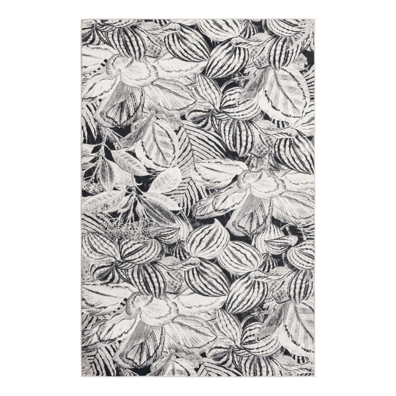 Tapis gris anthracite, Rectangle 4 pi x 6 pi
