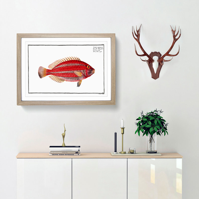Red Parrot-fish by M.E. Bloch - Picture Frame Painting Print, 27cm H x 36cm W x 2cm D, Oak Framed