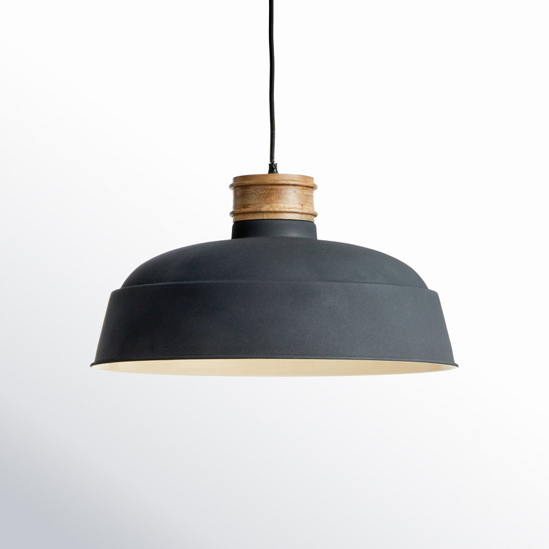 Mesmer Single Light Iron Dimmable Pendant