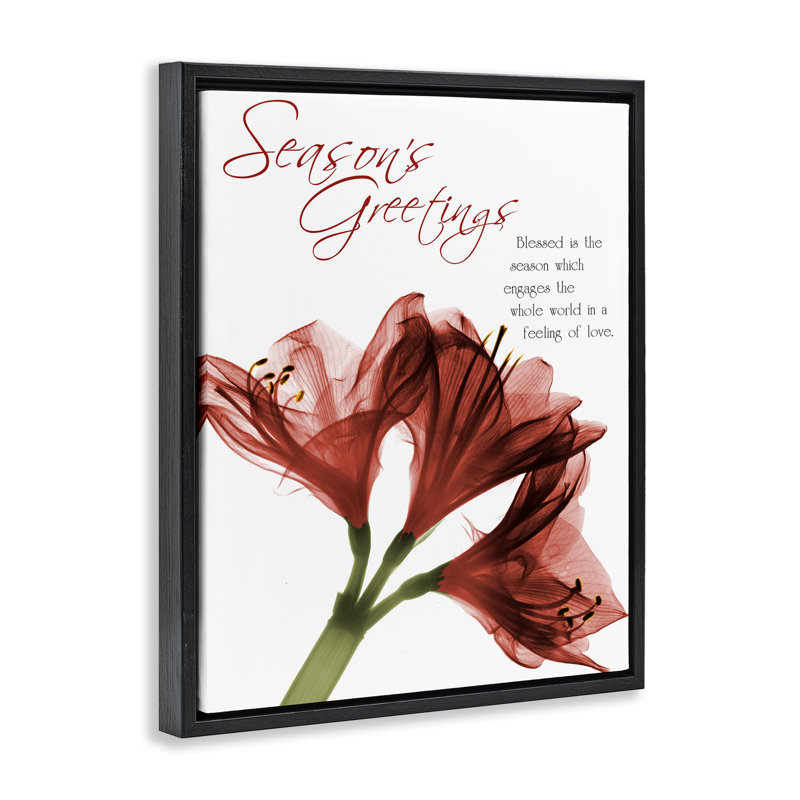 Cadre flottant saisonnier Amaryllis, par Albert Koetsier, H 31 po x l 25 po, Cadre flottant noir de jais