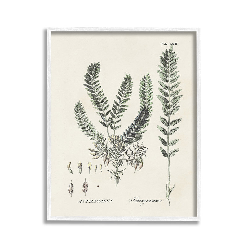 ForêtFeuilles, Giclée encadrée blanc bord de mer, H 14 po x l 11 po