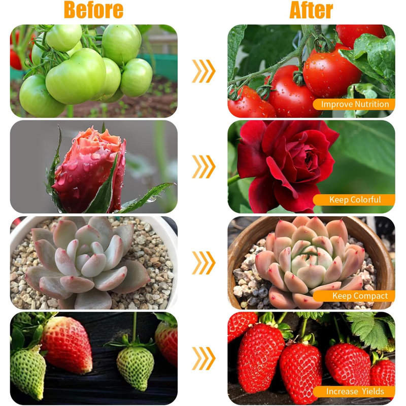 Grow Lights Support pour plantes d'intérieur Grand spectre de plantes pour la culture en intérieur avec ampoule COB 20W, minuterie 4/8 / 12H, lampe de croissance à DEL pour les grands semis de plantes (hauteur de 6 niveaux) 