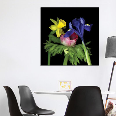 Iris Mini VII by Magda Indigo - Wrapped Canvas Print
