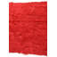 Tapis rouge Jaynes
