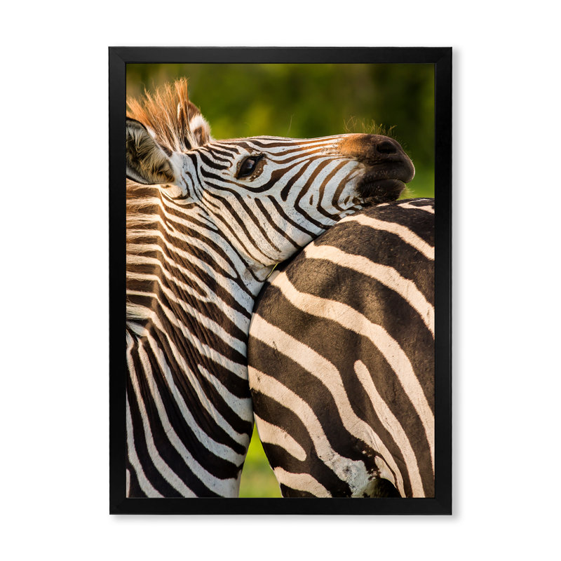Portrait de zèbre africain - Impression sur toile, Cadre photo noir, H 20 po x l 12 po