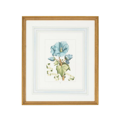 Blue Floral With Ribbon-A Print