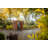 Keter Darwin 4x6 ft. Durable Resin Outdoor Storage Shed With Floor and Double Doors for Garden Patio Furniture and Tools, Brown