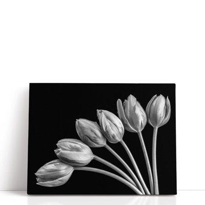 Fleurs de tulipes en forme d'éventail