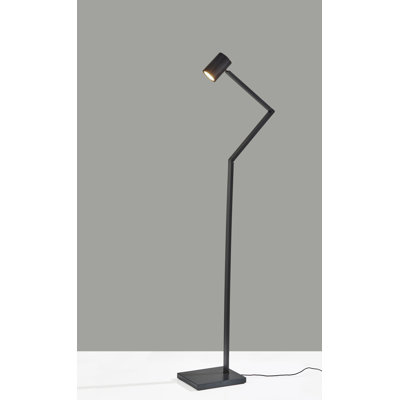 Cardie 48'' LED Task Floor Lamp