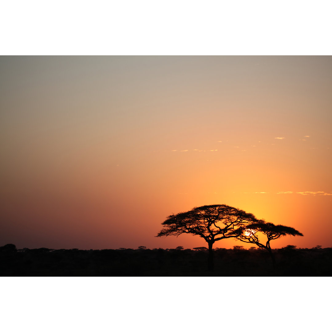 Sonnenaufgang in der Serengeti von Yenwen - Wrapped Canvas Print