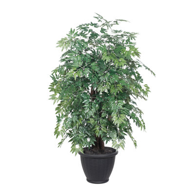 Artificial Ming Aralia Extra Full Series
