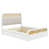 Blanc est en rupture de stock