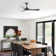 Nicola 52" 3-Blade Standard Ceiling Fan With Remote and Led Light