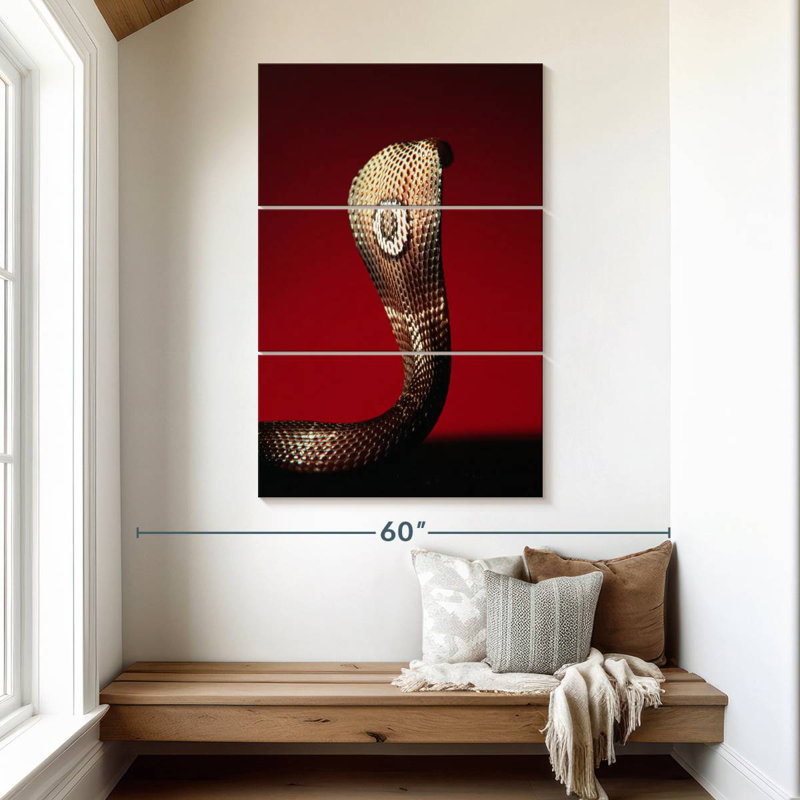 Brampt Cobra, 50" H x 32" W