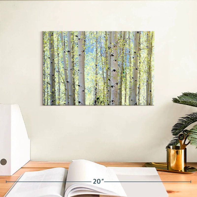 Harnek Aspens, H 8 po x l 12 po