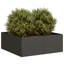 Planter Box-1129984738-1129984749