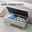 Banc de rangement repose-pieds avec similicuir, boutons en cristal pour la chambre à coucher, le salon, le vestibule | Argent mat | Pieds en métal-1461842207