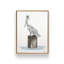 «Pelican Side Eye» par Cat Thurman Designs, reproduction d'art-900570824-900570825-900570838