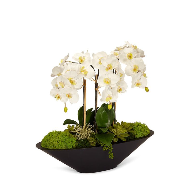 Orchid Floral Arrangement in Metal Planter, White