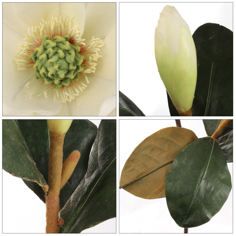 Tige de magnolia, H 27 po x l 7 po x P 9 po