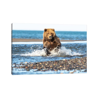 Fishing Bear by Eric Fisher - Wrapped Canvas Gallery-Wrapped Canvas Giclée