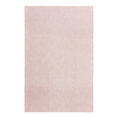 Indoor / Outdoor Rug