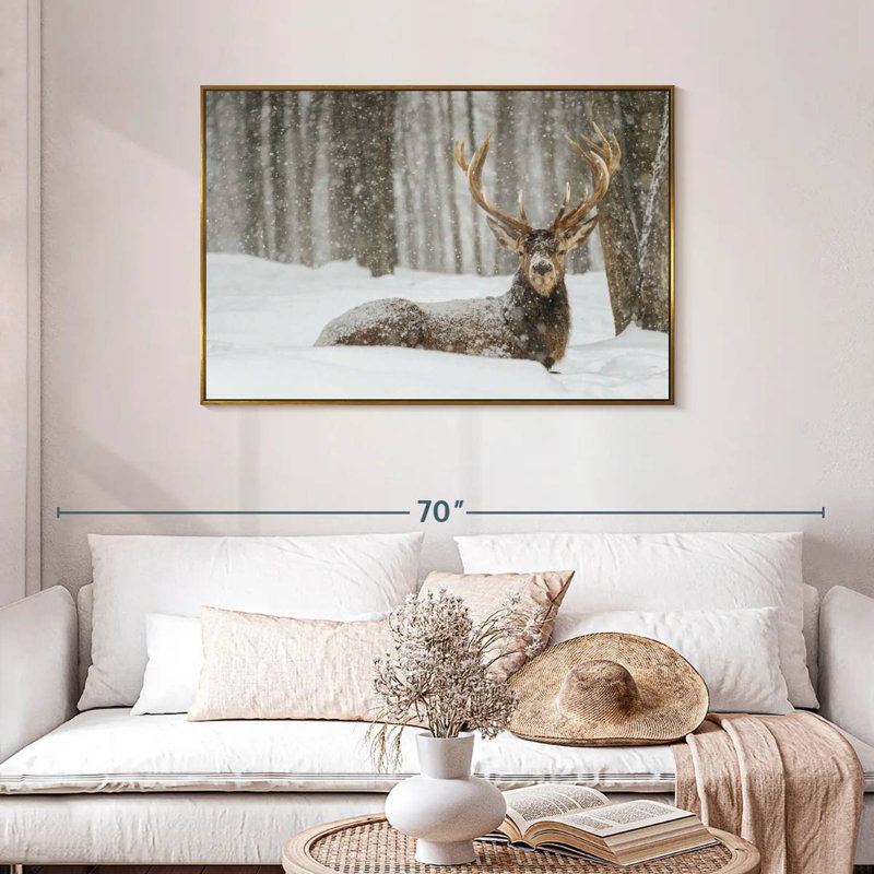 Wapiti recouvert de neige, Cadre flottant doré, 43 po x 29 po