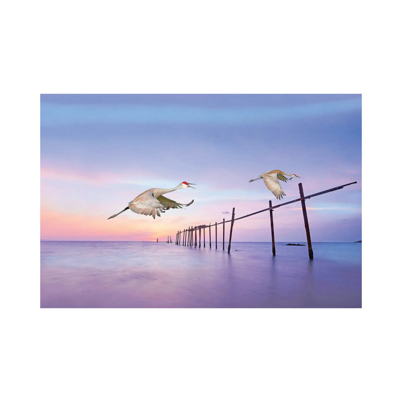 Sandhill Cranes In Flight by Laura D Young - Gallery-Wrapped Canvas Giclée on Canvas, 30.48 cm H x 45.72 cm W, Wrapped Canvas