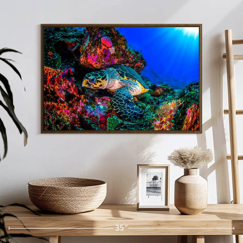 Tortue océan monde, 25 po x 17 po, Cadre flottant noyer