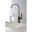 Water Onyx Cold Water Filtration Faucet