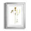 Pressed Botanical III par J Paul - reproduction de cadre photo-1463566664-1463566667